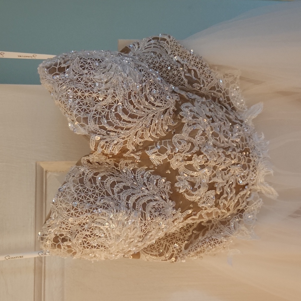 NWT Gorgeous Size 6 strapless wedding dress
